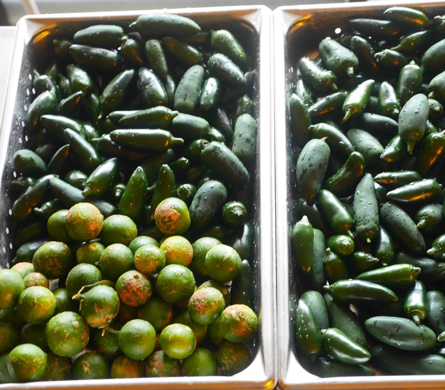 Green Hot Sauce｜旨辛爽快サルサソース タコス BBQ 鍋の薬味に