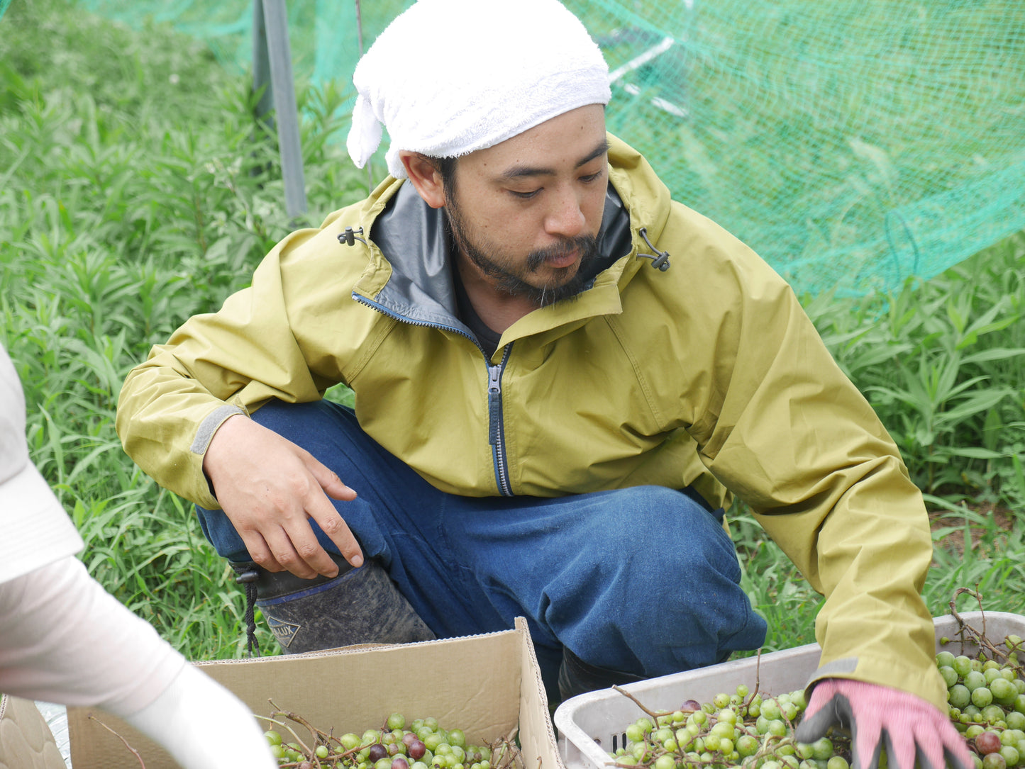 GRAPE PONZU｜自然栽培 ワイン用葡萄で作る新感覚ポン酢