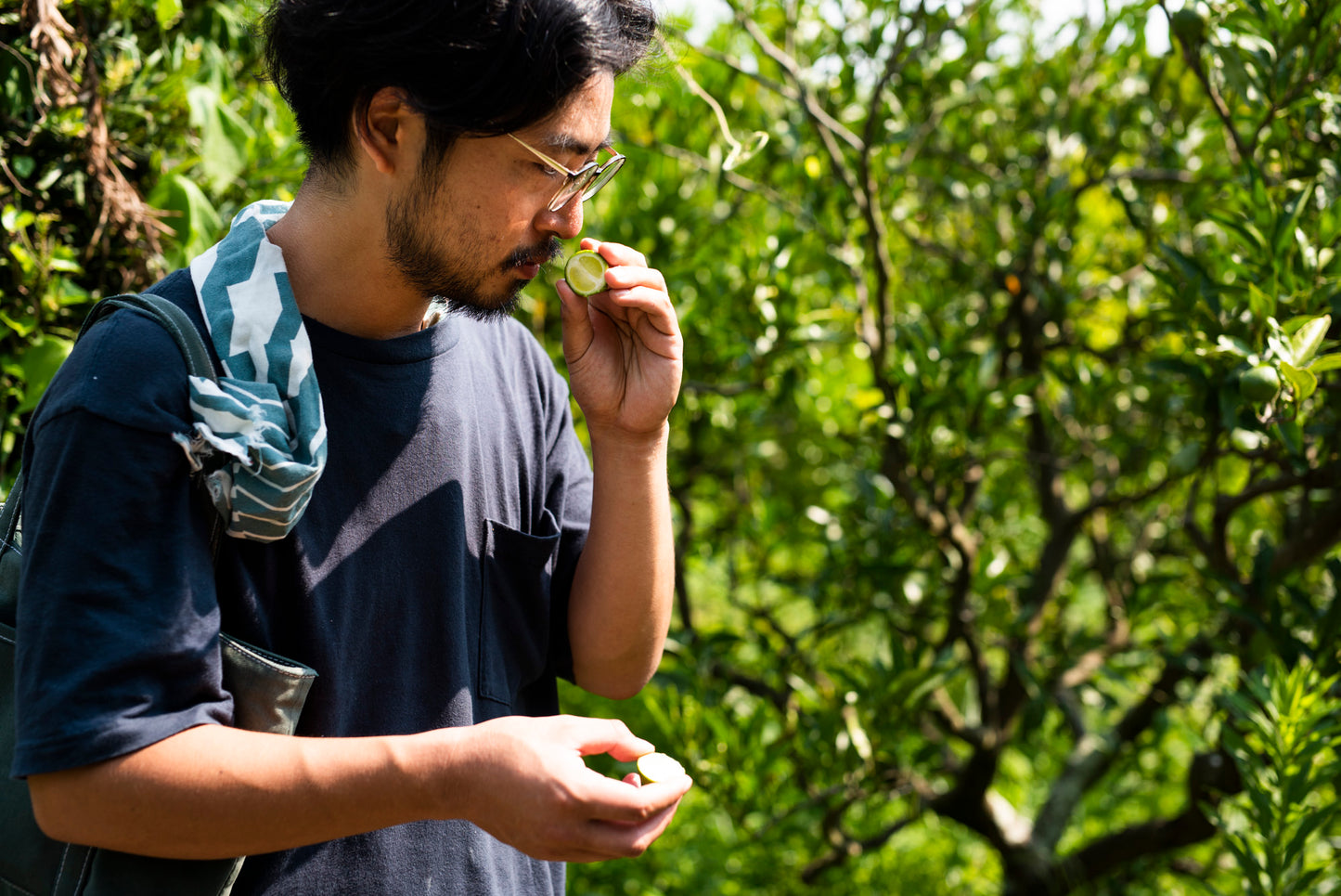 Green Hot Sauce｜旨辛爽快サルサソース タコス BBQ 鍋の薬味に